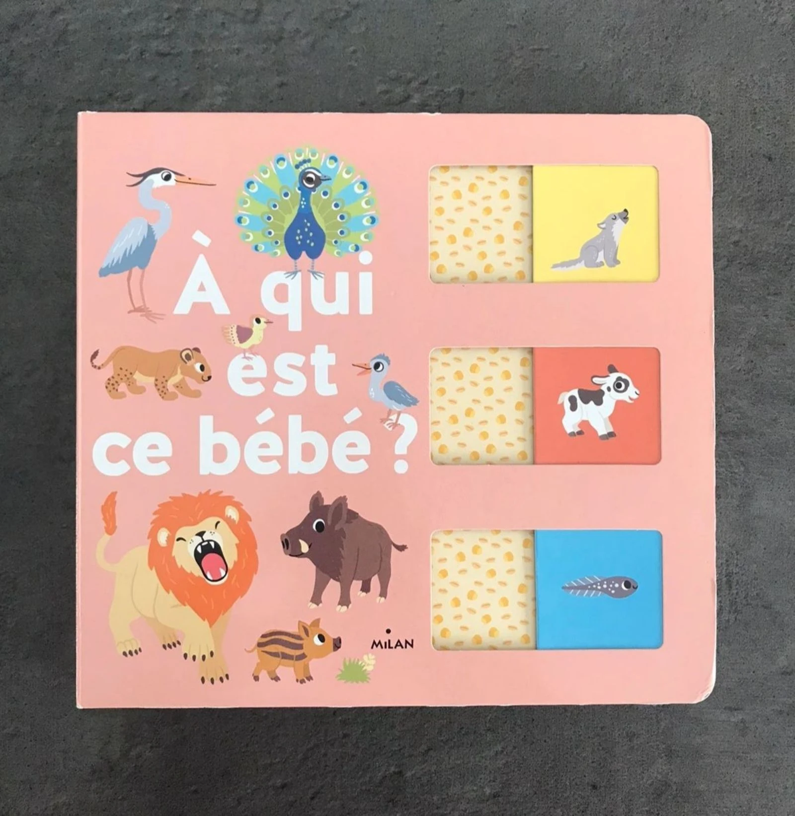 📚 Livre Éveil Neuf - À qui est ce bébé ? (Éditions Milan)📚